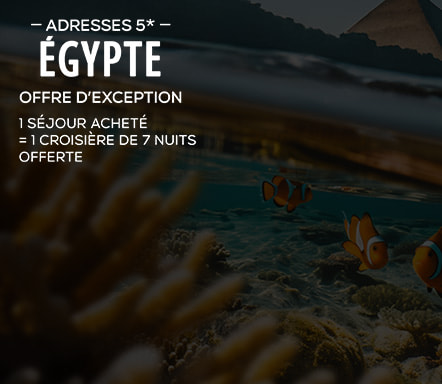 Égypte 1 séjour acheté = 1 croisière de 7 nuits of