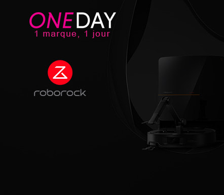 Roborock