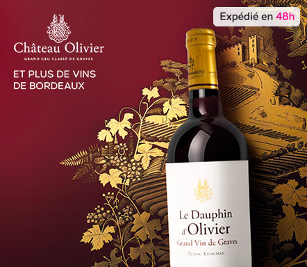 La route des vins de Bordeaux