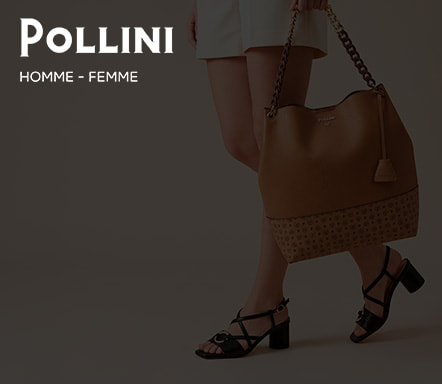 Pollini