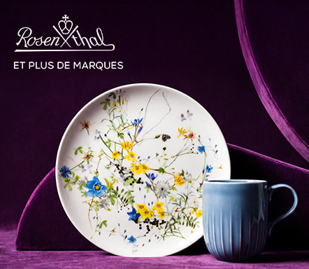 Rosenthal et plus de marques