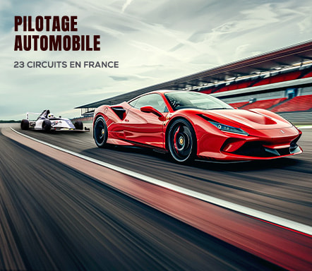 Pilotage Automobile