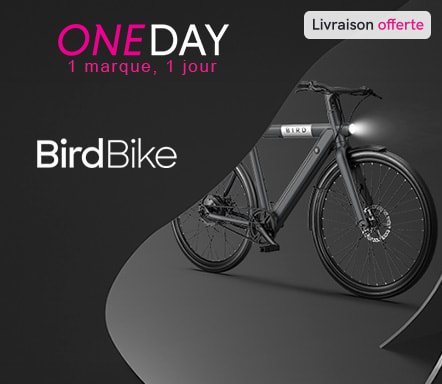 BirdBike