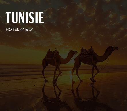 Tunisie - Hôtel 4* et 5*