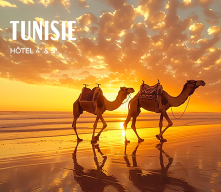 Hôtel 4* et 5* Tunisie