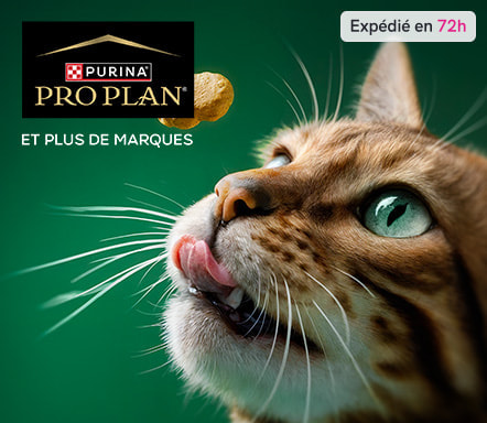 Purina