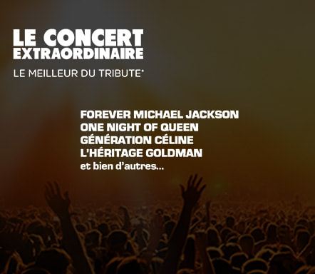 Concerts Tribute en tournée
