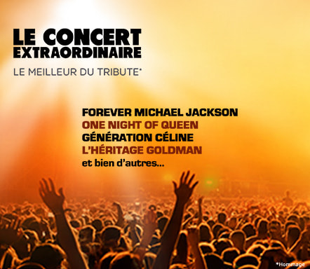 Concerts Tribute en tournée