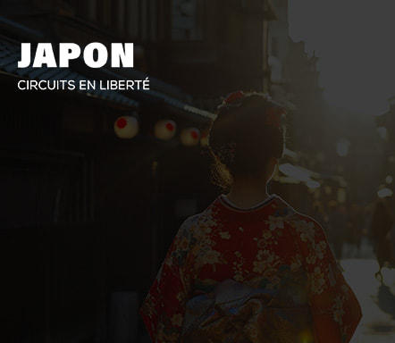 Japon : circuits en liberté