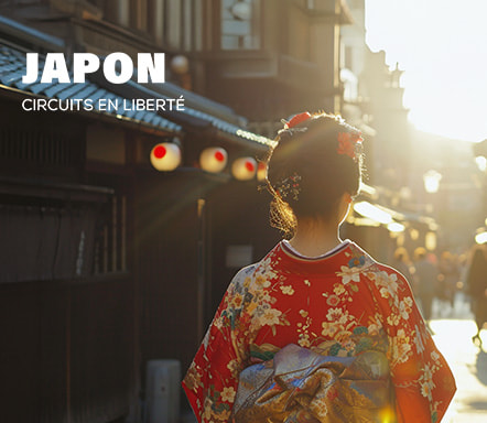 Japon : circuits en liberté