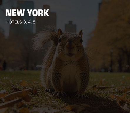 New York | Hôtels 3, 4, 5*