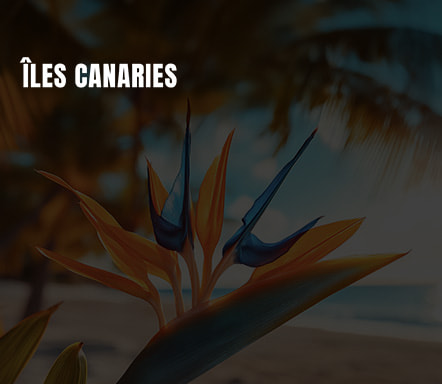 Canaries