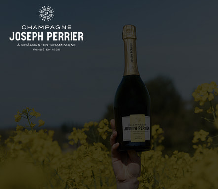 One Day Joseph Perrier