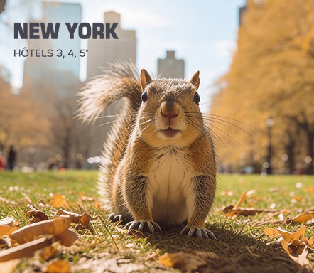 New York | Hôtels 3, 4, 5*