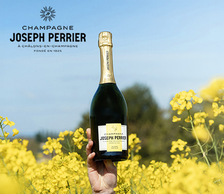 One Day Joseph Perrier