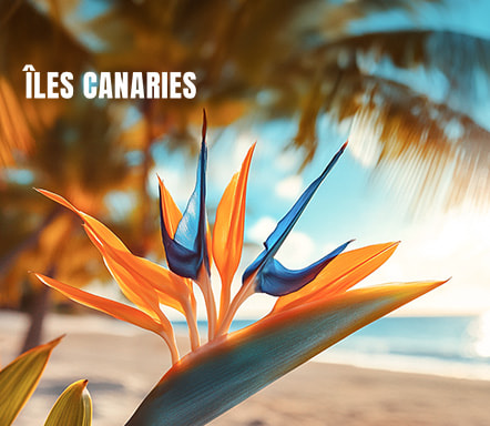 Canaries