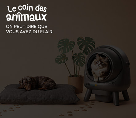 Le coin des animaux