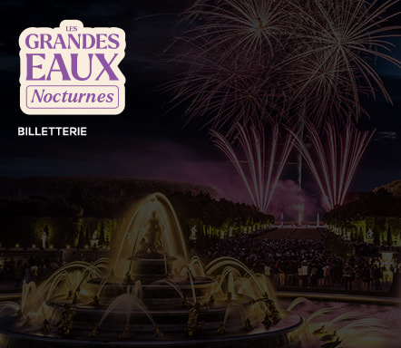 Les Grandes Eaux Nocturnes Versailles
