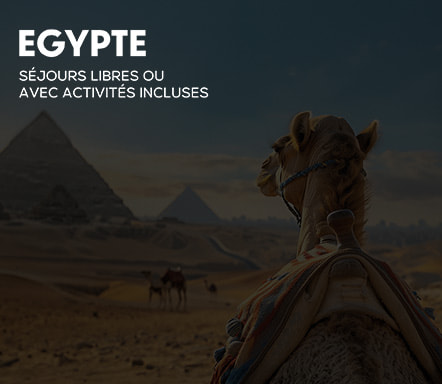L'Egypte avec ou sans activités