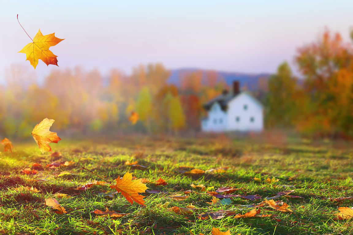 Sesongin vinkit – syksy