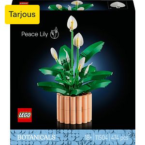 LEGO Botanicals 11504 Viirivehka