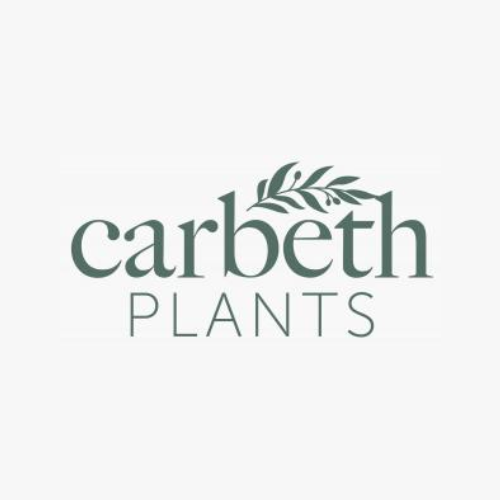 Carbeth Plants