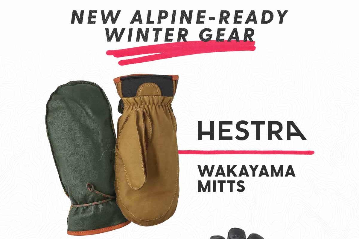 Shop Hestra Wakayama Mitts