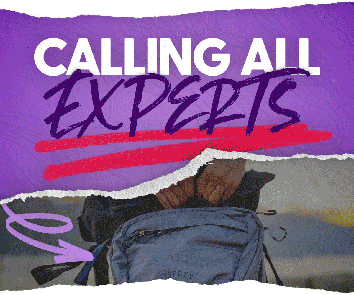 Calling All Experts—Apply to be a VPO Ambassador!