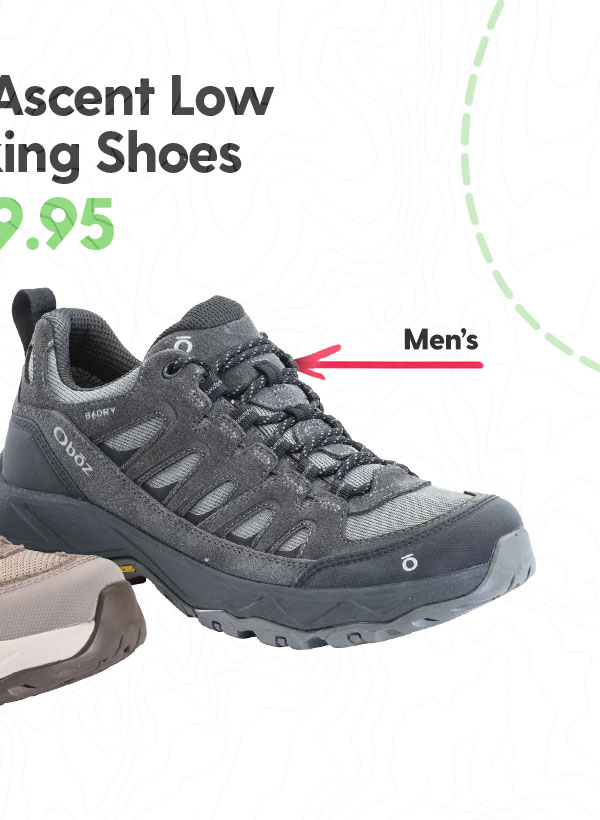 Shop Men's Sawtooth Ascent Low B-Dry Hiking Shoes - $179.95