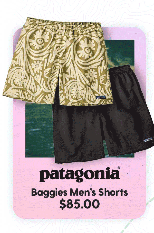 Shop Patagonia Baggies Shorts 5" - Men's
