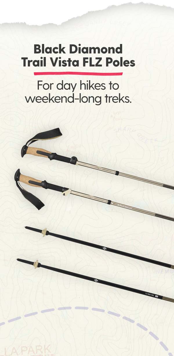 Black Diamond Trail Vista FLZ Trekking Poles: For day hikes to weekend-long treks.