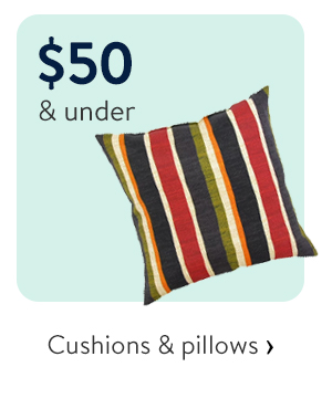 $50 & under - Cushions & pillows