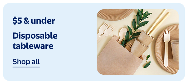 $5 & under - Disposable tableware