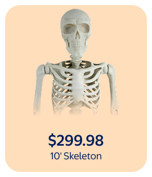 10' Skeleton