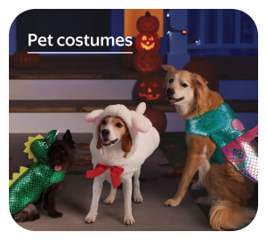 Pet costumes