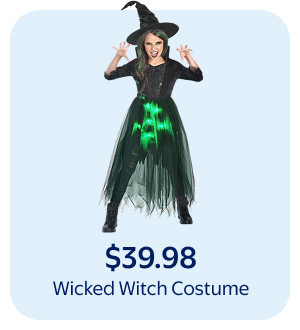 Wicked Witch Costume