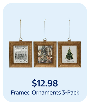 Framed Ornaments 3-Pack