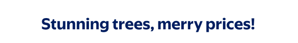 Stunning trees, merry prices!