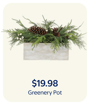 $19.98 - Greenery Pot