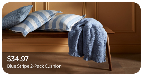 Blue Stripe 2-Pack Cushion