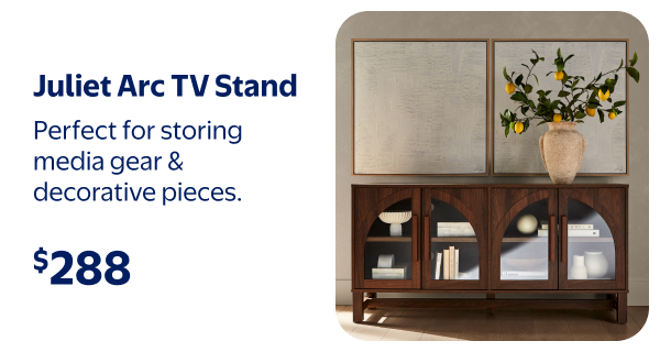 Juliet Arc TV Stand - Perfect for storing media gear & decorative pieces.