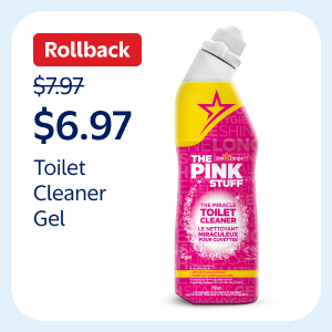 Toilet Cleaner Gel