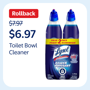 Toilet Bowl Cleaner