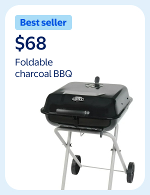 Foldable charcoal BBQ