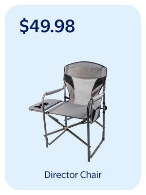 Director Chair