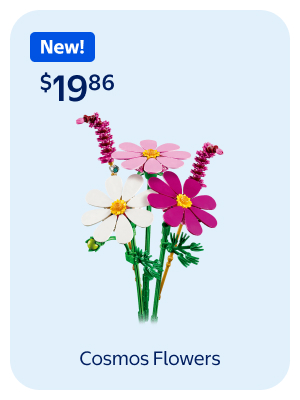 Cosmos Flowers