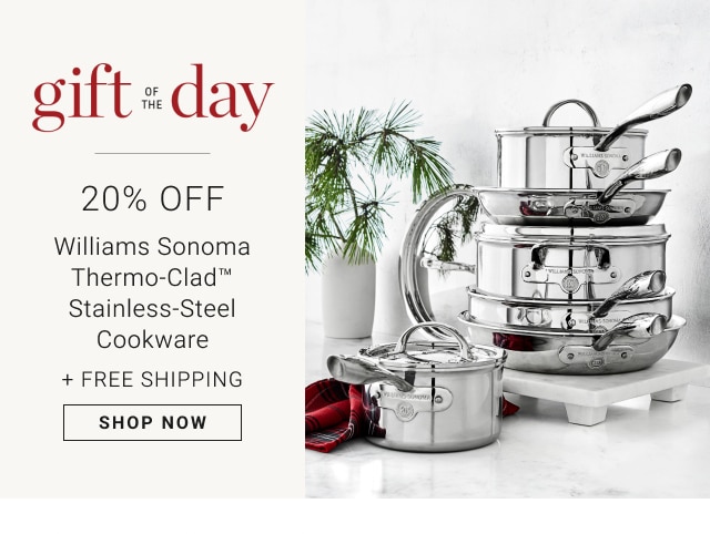 Gift of the Day - 20% Off Williams Sonoma Thermo-Clad™ Stainless-Steel Cookware + Free Shipping - Shop Now