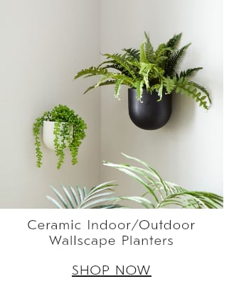 Display images to show real-time content