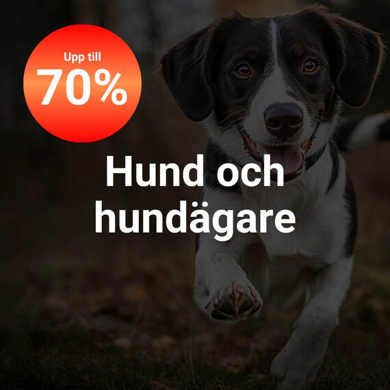 Hundprodukter