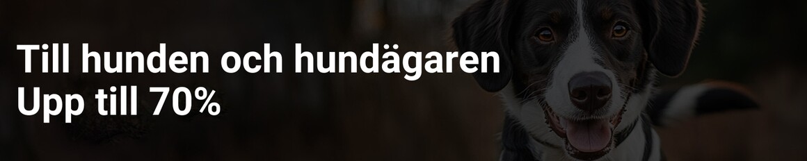 Till hunden och hundägaren